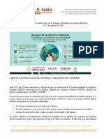 Lineamiento de La SMLM 2020 CNEGSR