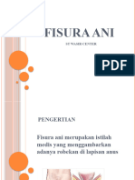 Fisura Ani