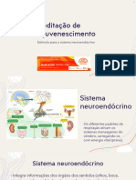 Meditação de Rejuvenescimento - Fortalecimento Do Sistema Neuroendócrino