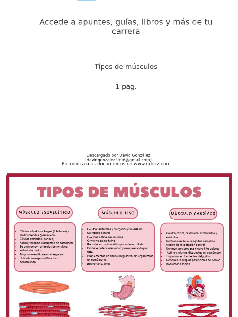 Tipos de Musculos PD 367686 Downloadable 2591858 | PDF