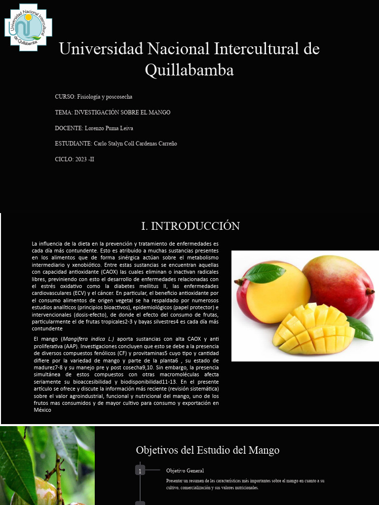 Características y beneficios del mango | PDF | Mango | Arboles