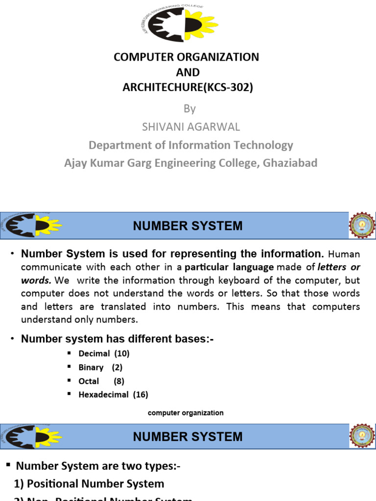 Understanding Number Systems in Computing | PDF | Notation | Numbers