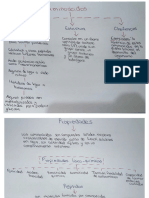 Aminoácidos, Proteínas y Enzimas