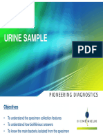 1-7 Urine, Stool, Wound, Genital