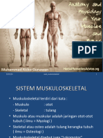 Anatomi Fisiologi Muskuloskeletal Ppt