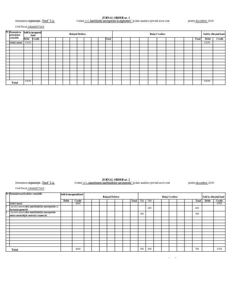 Registrele Contabile | PDF