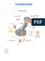 Endocrinologia (Completo)