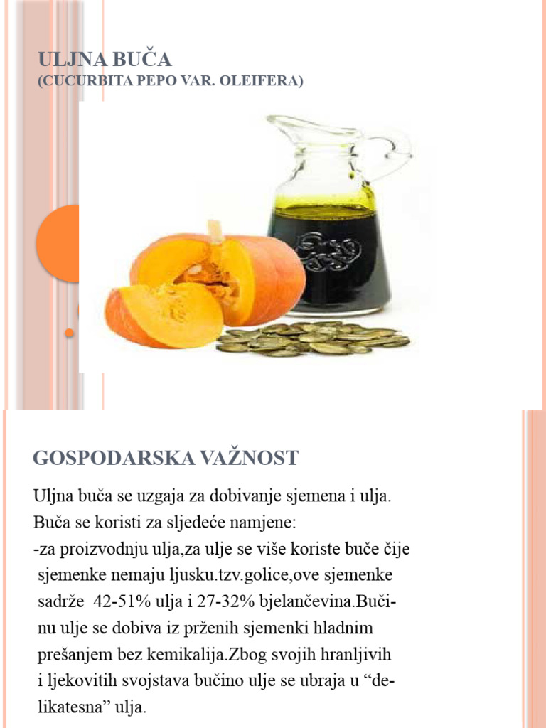 Uljna Buča | PDF