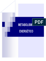 Metabolismo Energetico