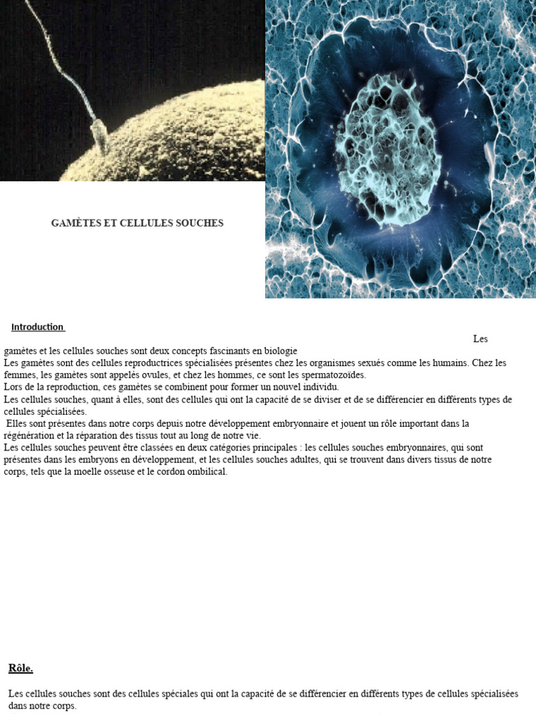 Cellule s 123 | PDF
