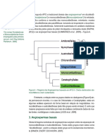 Livro - Ciencias Biologicas - Sistematica Vegetal. 2