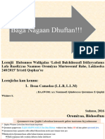 Leenjii Labsii Lafa Baadiyyaa (Llabsii 248-2015) - ILQSO