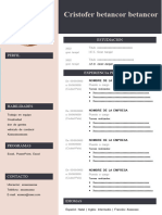 214 Curriculum Vitae Curriculo