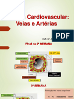 Aula 3 e 4 - Sistema Cardiovascular - Veias e Arterias