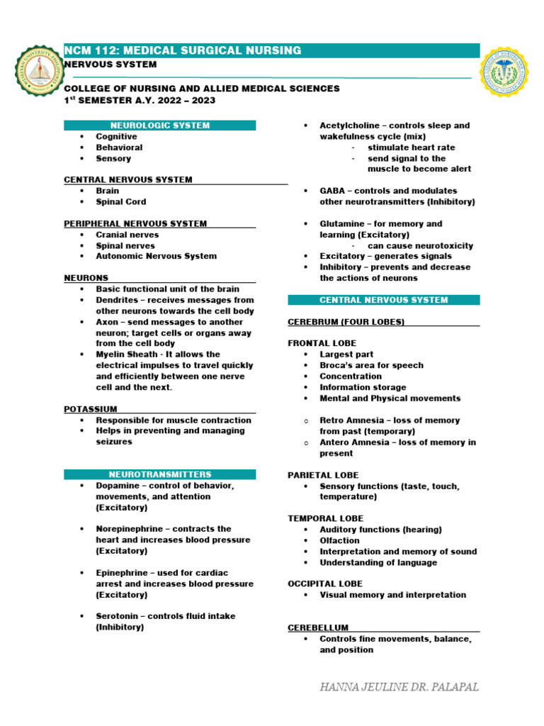 Ms Trans Nervous System | PDF | Neuron | Headache