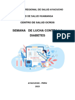 Plan de Acción Diabetes - C.S. Ocros