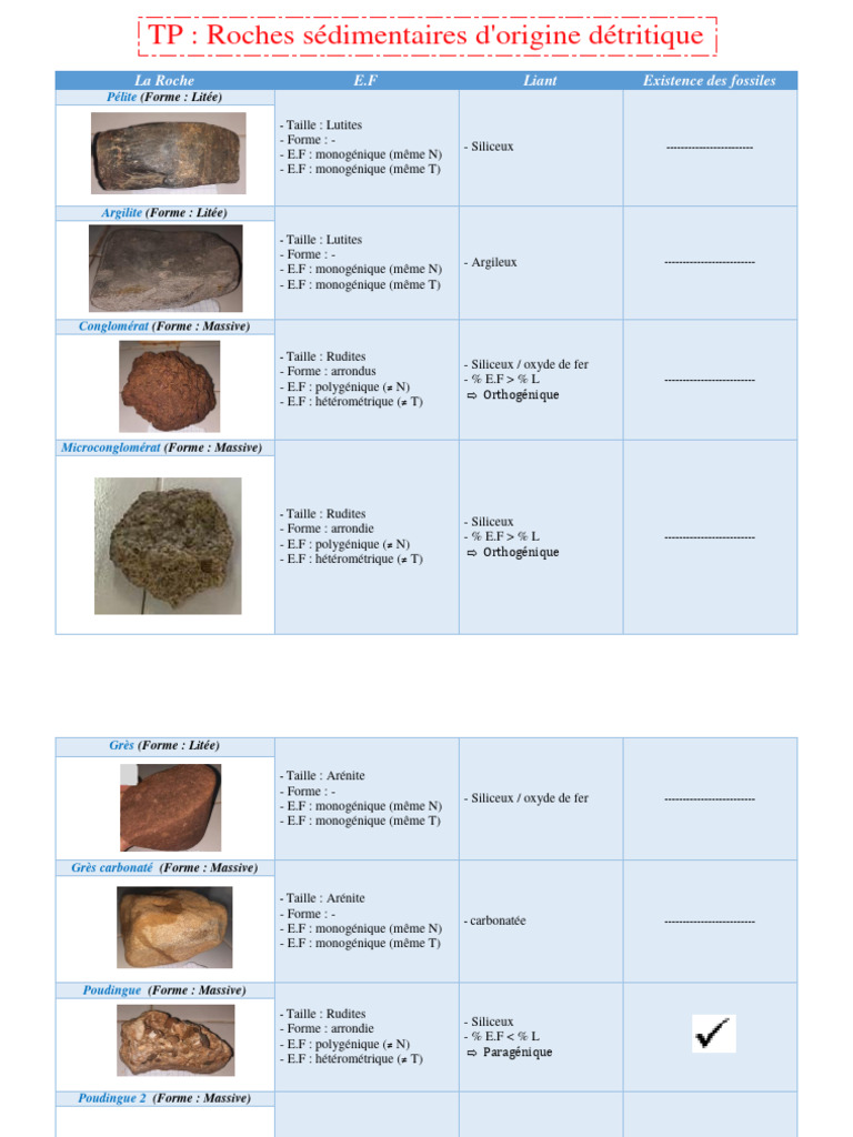 Roches sédimentaires détritiques et types | PDF | Pétrologie | Roche