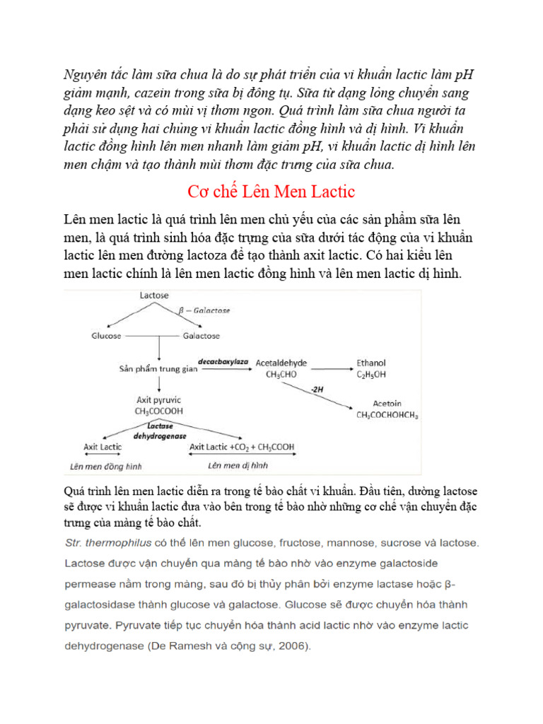 cơ chế lên men lactic | PDF