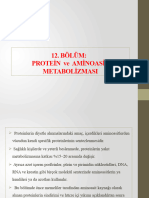 12.bölüm Protei̇n Ve Ami̇noasi̇t Metaboli̇zmasi