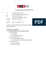 Ejemplo Deesquema y Redaccion de Texto Preliminar Informe de Recomendación - JJBFFO