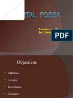 S54 - Final Cubital Fossa II