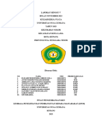 Laporan Minggu Ii KKN Undana