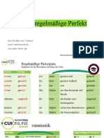 Das Unregelmäßige Perfekt (Autoguardado)