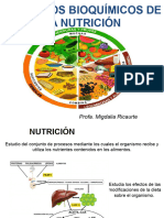 Clase 1 2023 Aspectos Bioquã Micos de La Nutriciã N Final