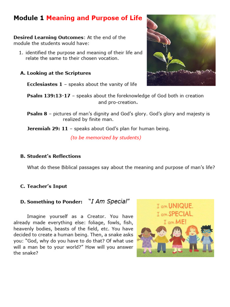 Understanding Life's Purpose and Meaning | PDF