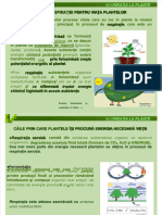 Dokumen - Tips - Curs 9 Respiratia La Planteppt