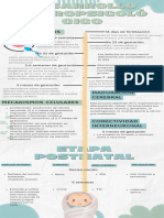 Desarrollo Neuropsicoló Gico