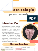 Neuropsicologia AA1