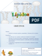 Lipidos Guia 6 CORRECTA