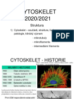 Cytoskelet Hotovo