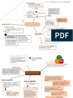 Esquema Unidad 1