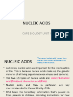 Final Nucleic Acid - 1