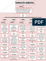 Mapaconceptualdela Contaminacion Ambiental 2