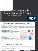 Reacțiile Chimice În Lumea Înconjurătoare