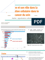 La Furine Et Son Rôle Dans La Prolifération Cellulaire Dans Le Cancer Du Sein