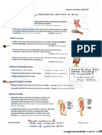 Anatomia e Fisiologia I - Miologia 