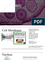 Cell Organelle Project