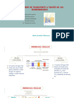 Mecanismos de Transporte A Través de Las Biomembranas