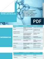 Clasificación y Diferenciación Entre Las Células