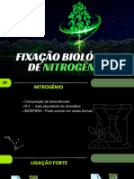 FBN - Fixação Biológica de Nitrogênio