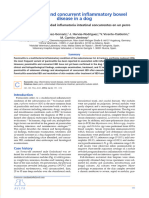 Panniculitis and Concurrent Inflammatory Bowel Disease in A Dog