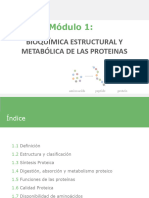 Proteinas Estructuras y Metabolismo