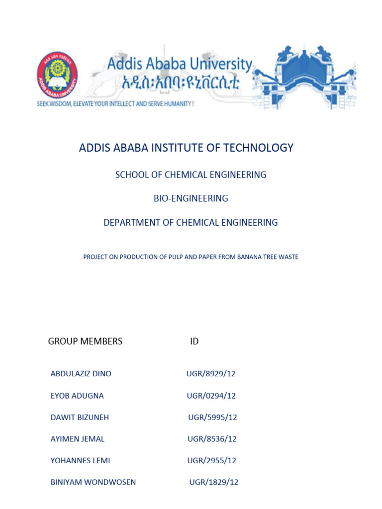 Paper and Pulp Production Final PDF Pulp (Paper) Chemistry