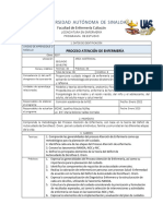 2-Programa Proceso Enfermero 2023