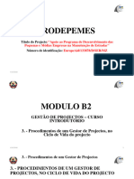 Gestão de Projectos - Aula 03 - 2. - Procedimentos de Um Gestor de Projectos, No Ciclo de Vida - 3 - 2-Técnicas Utilizadas-Prodepemes