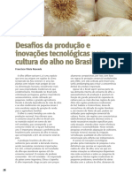 Desafios Da Produção e Inovações Tecnológicas para A Cultura Do Alho No Brasil